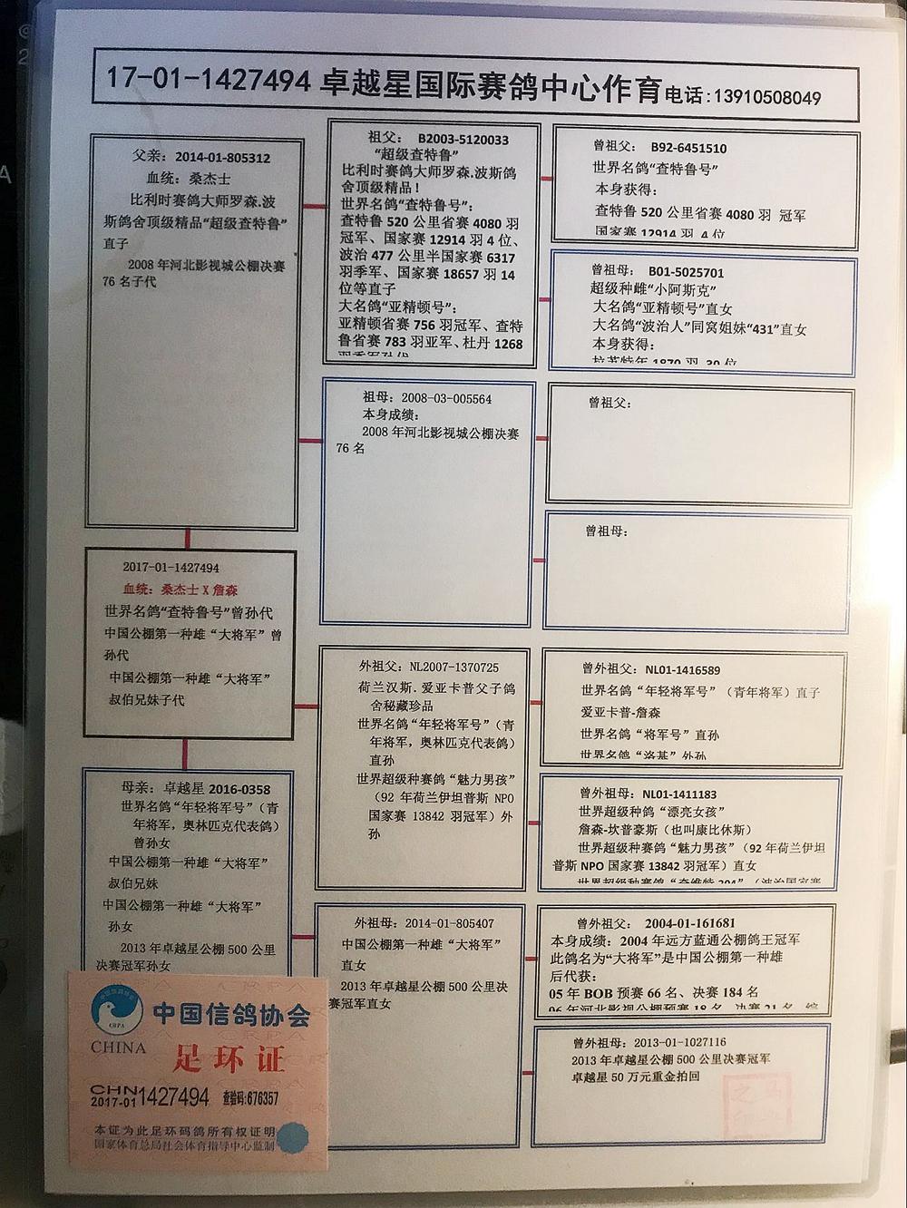 31 结拍时间: 2020-1-13 22:30:59 当前时间: 加价幅度: 100 元 血统