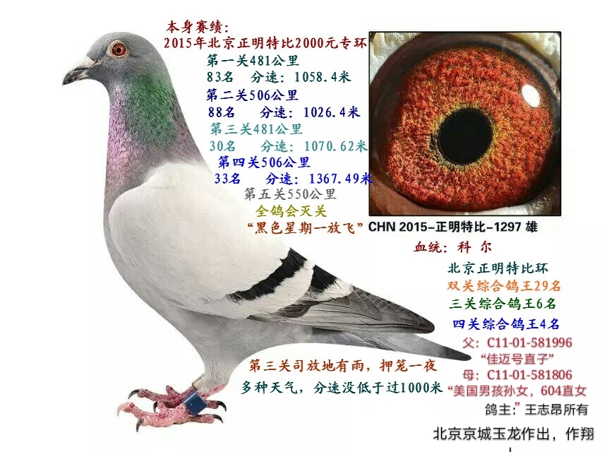 >> 查看拍卖商品