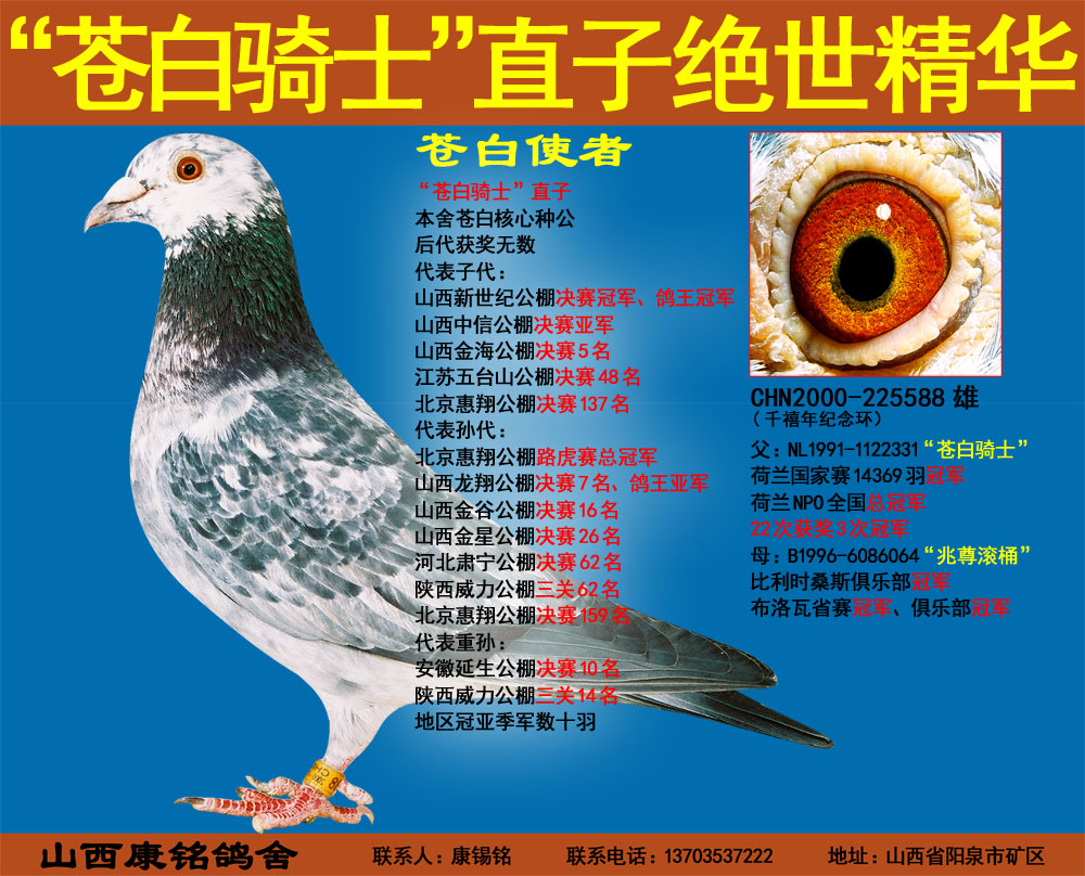 >> 查看拍卖商品