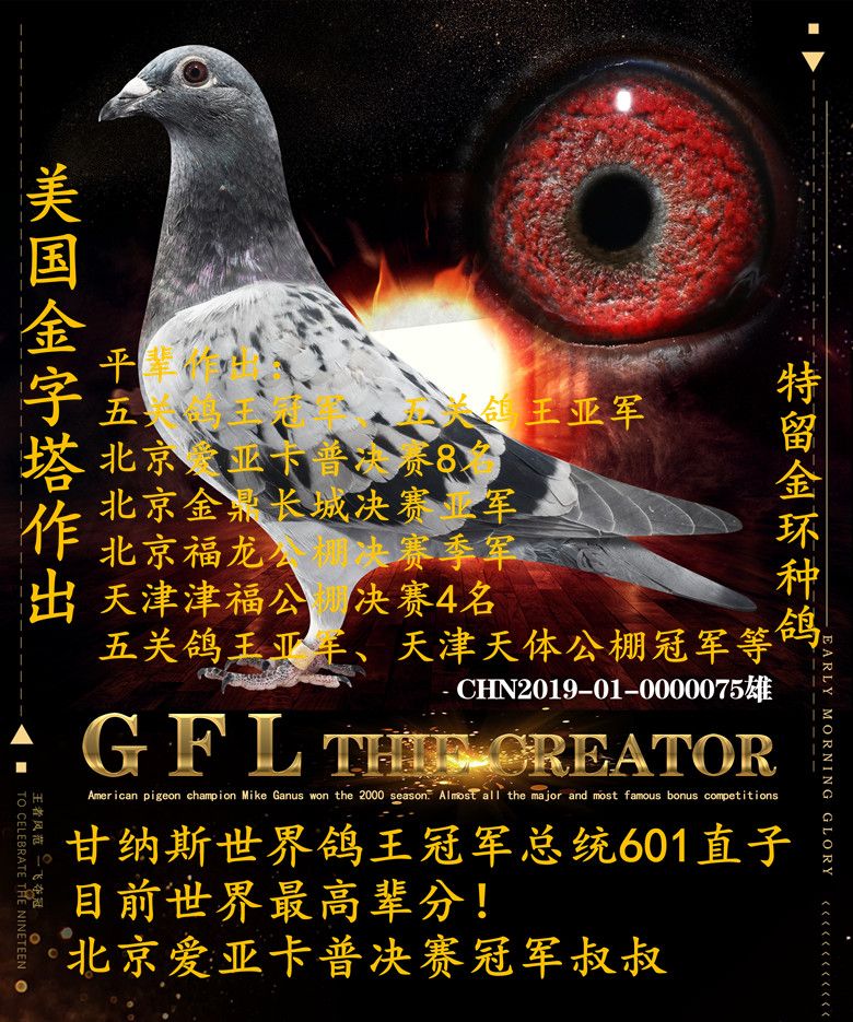美国金字塔联合鸽舍 - 中信网铭鸽展厅 www.ag188.com