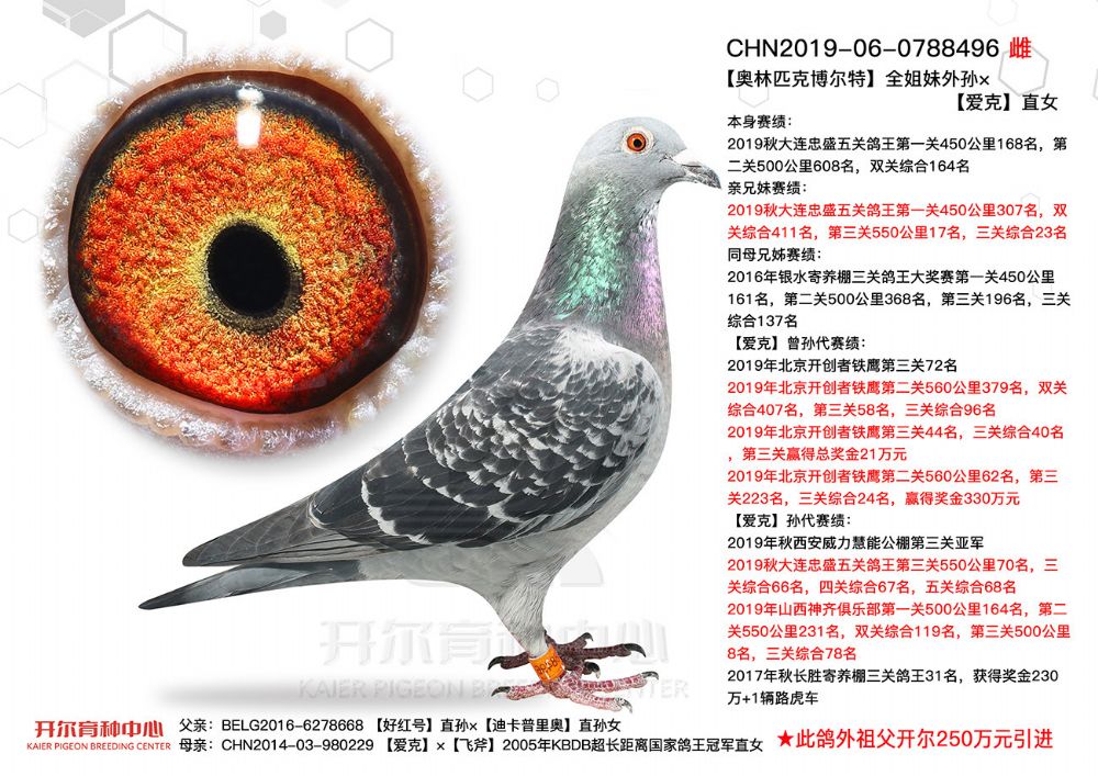 商品信息 商品编号: 983481 足环号: chn2019-06-0788496