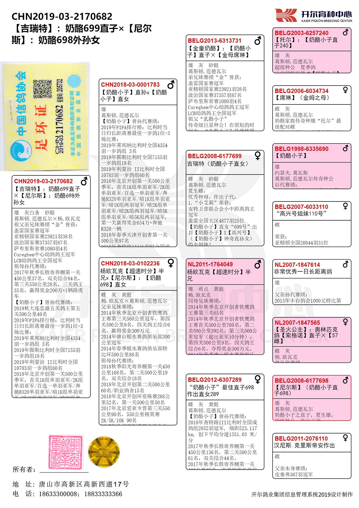 信鸽在线拍卖平台 - 中国信鸽信息网