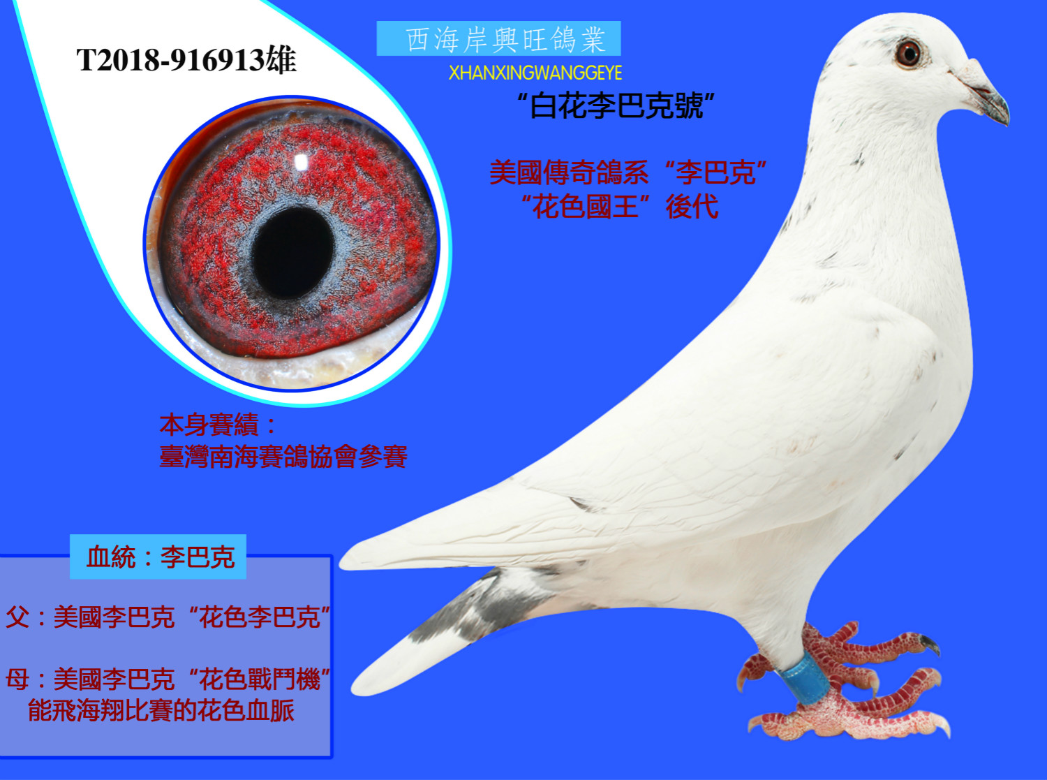 >> 查看拍卖商品