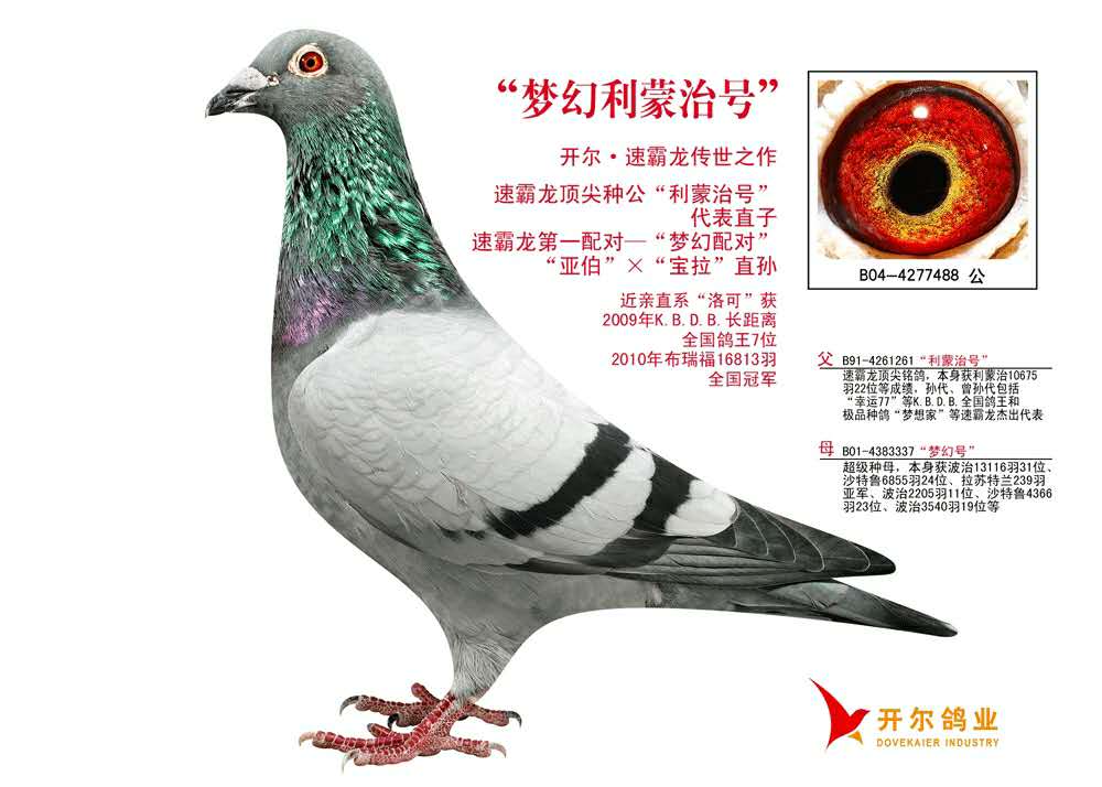 >> 查看拍卖商品