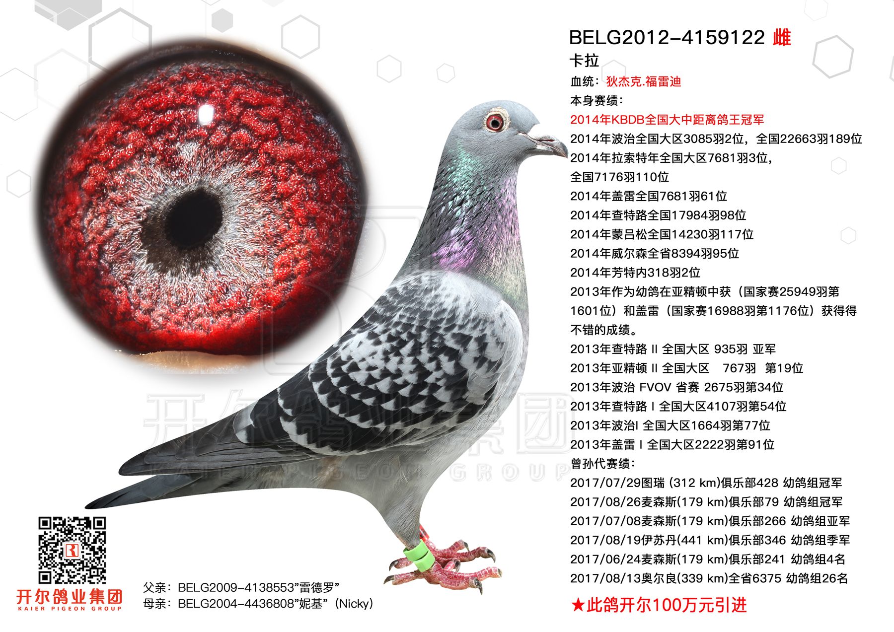 >> 查看拍卖商品