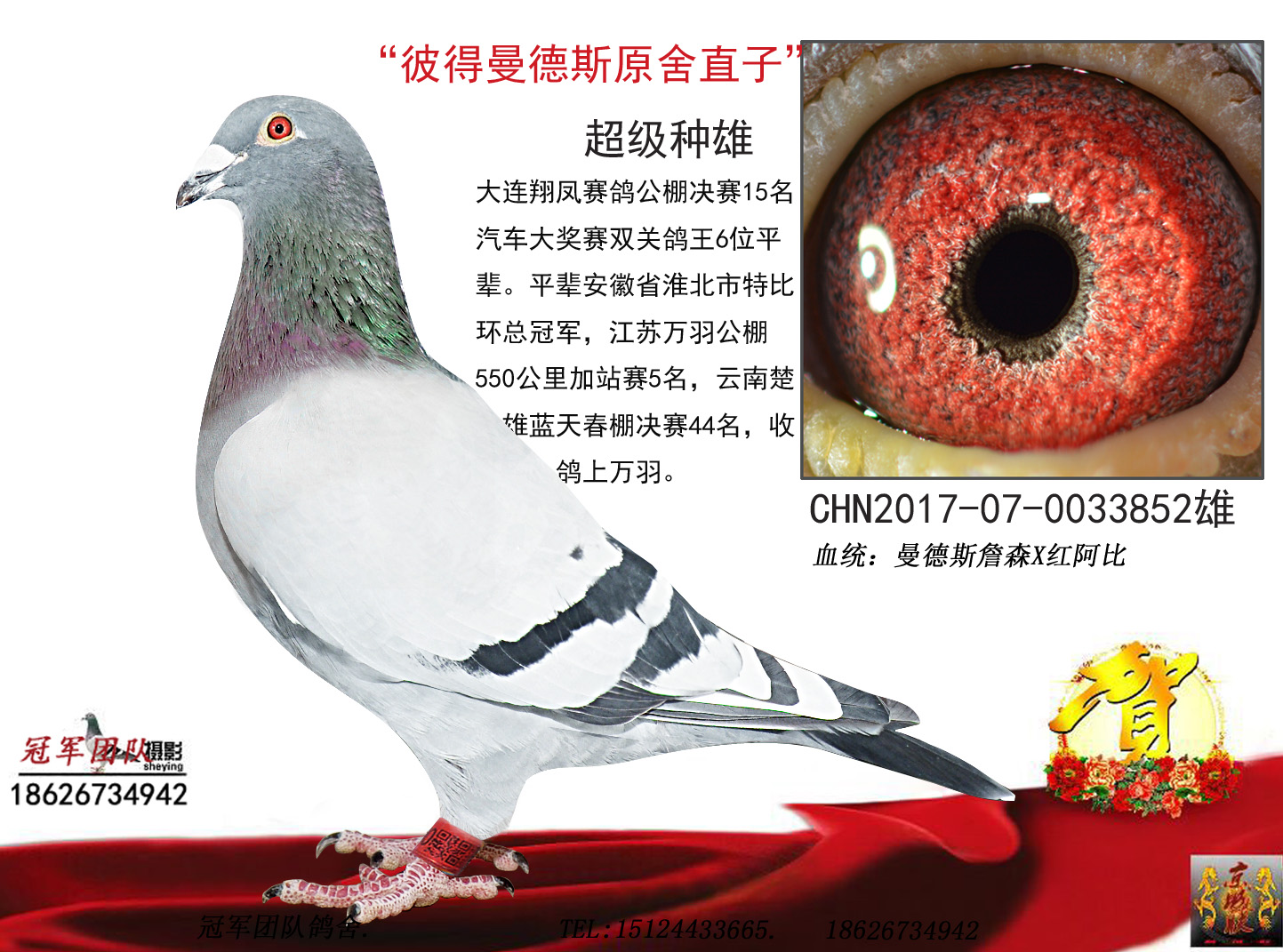 >> 查看拍卖商品