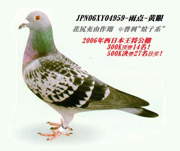 >> 查看拍卖商品
