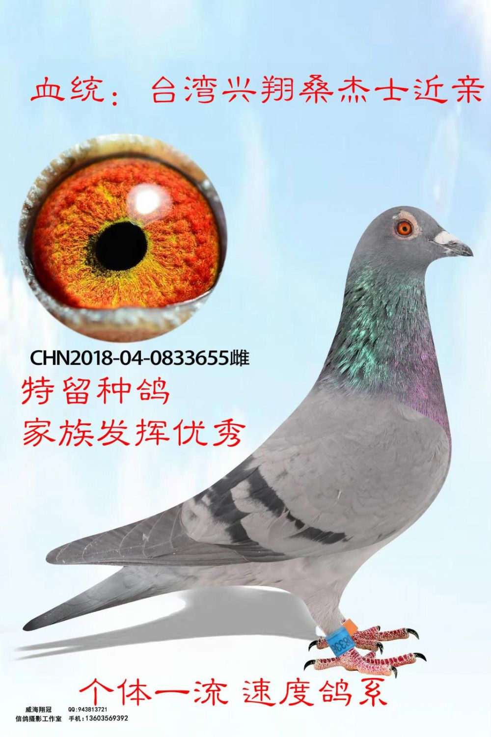 >> 查看拍卖商品