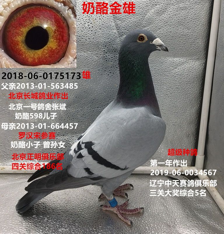 >> 查看拍卖商品