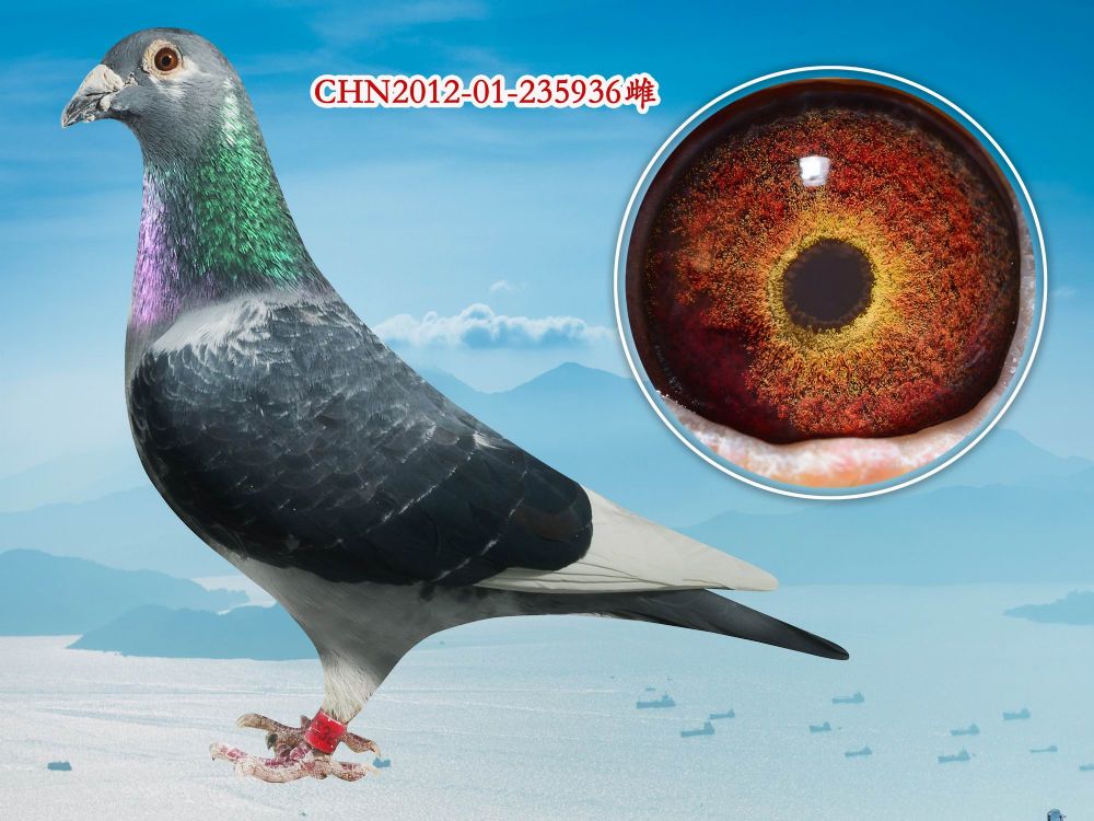 >> 查看拍卖商品