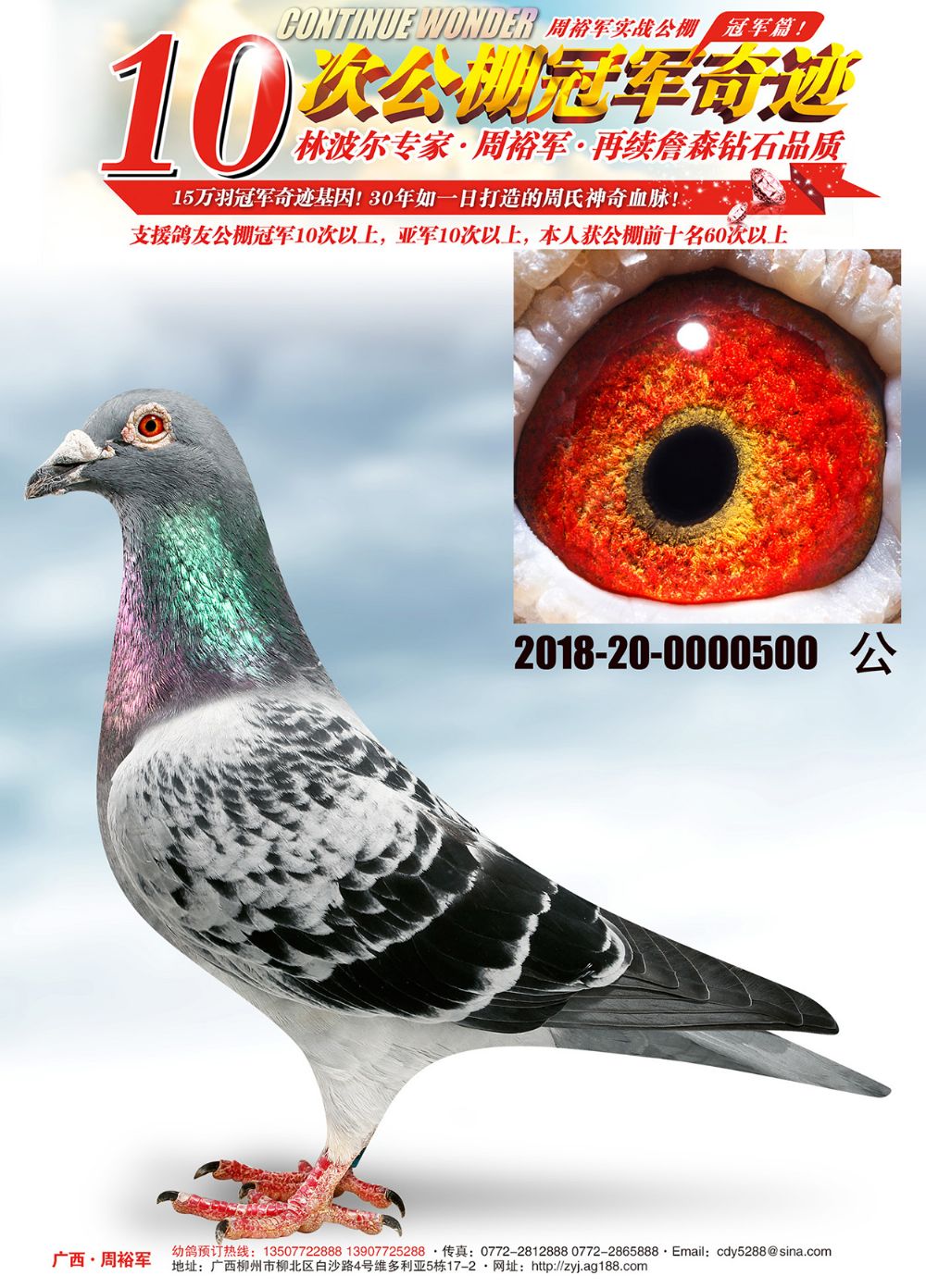 >> 查看拍卖商品