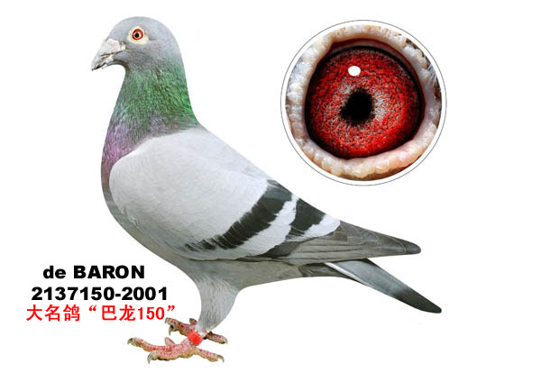 >> 查看拍卖商品