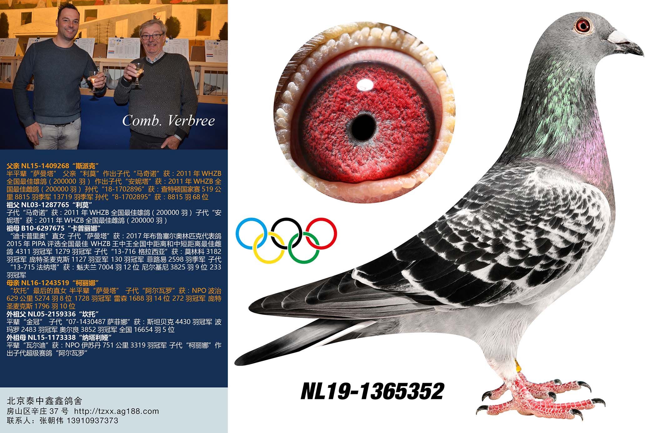 >> 查看拍卖商品