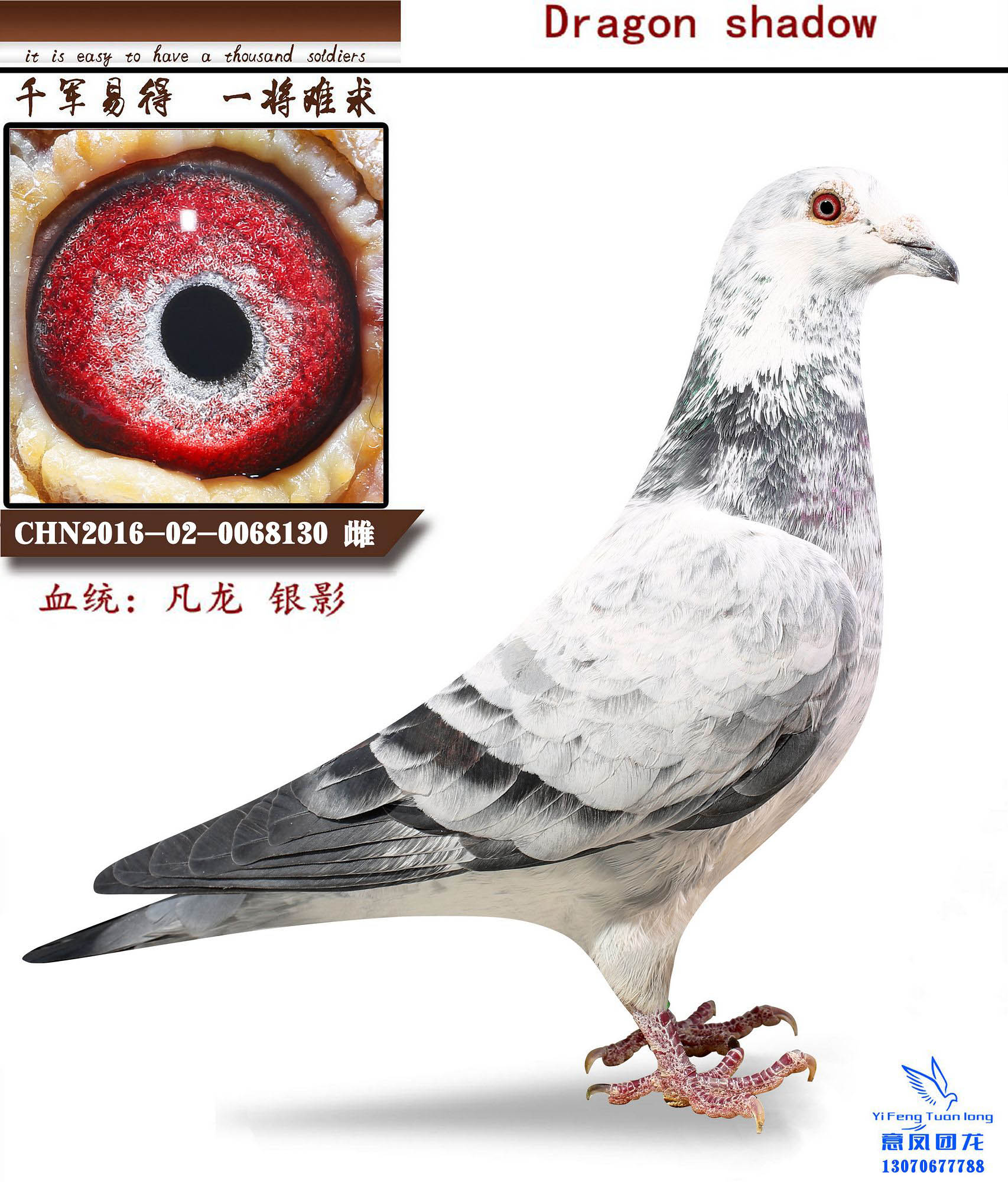 >> 查看拍卖商品