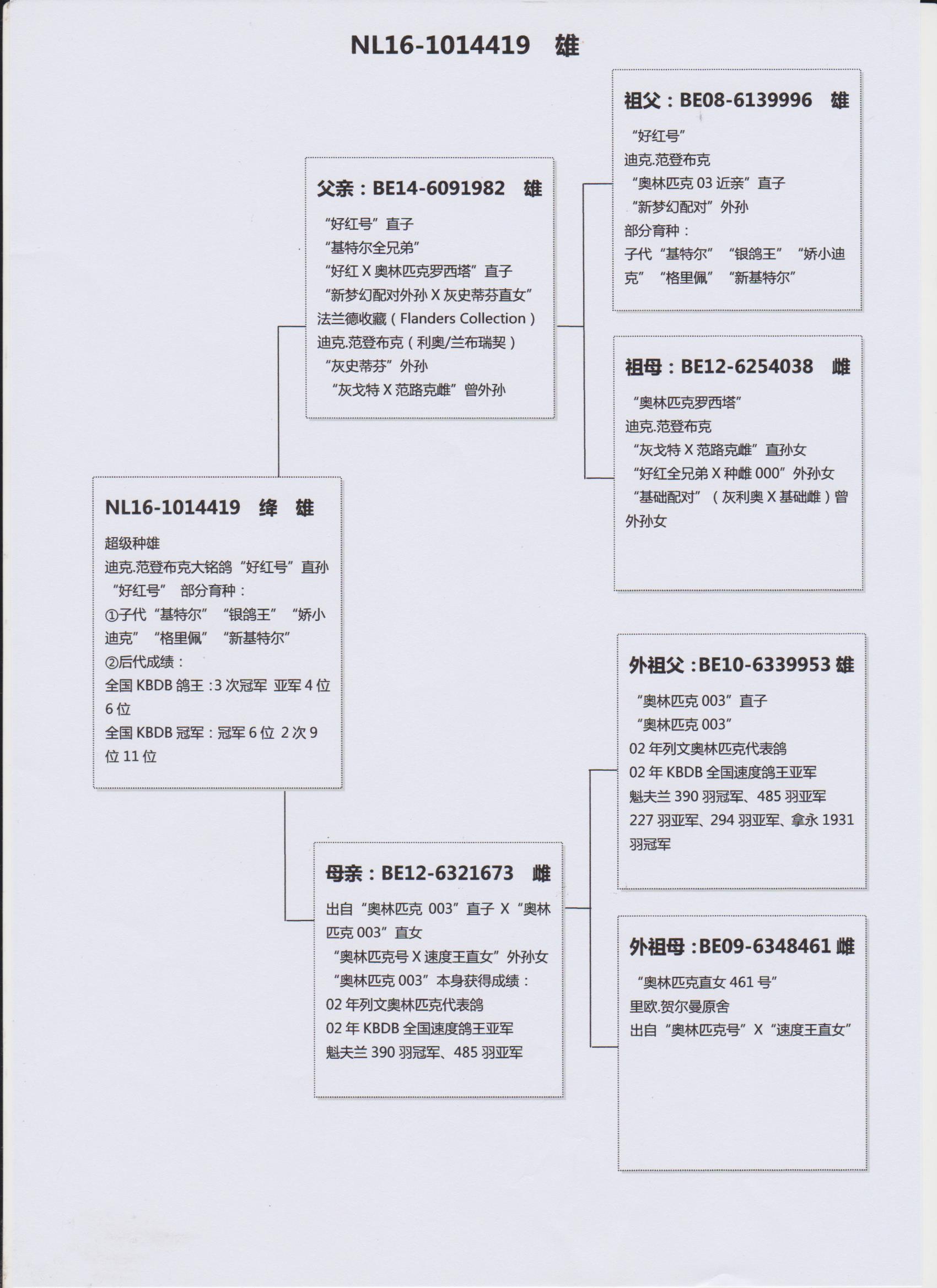 >> 查看拍卖商品