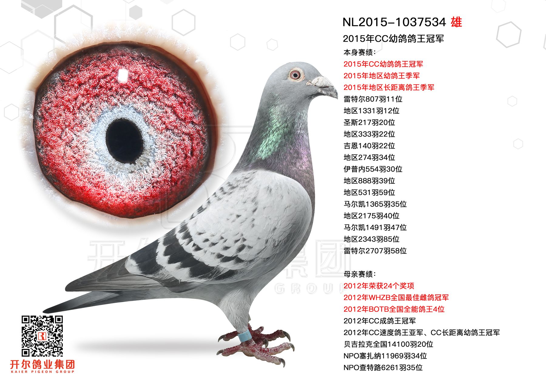 >> 查看拍卖商品