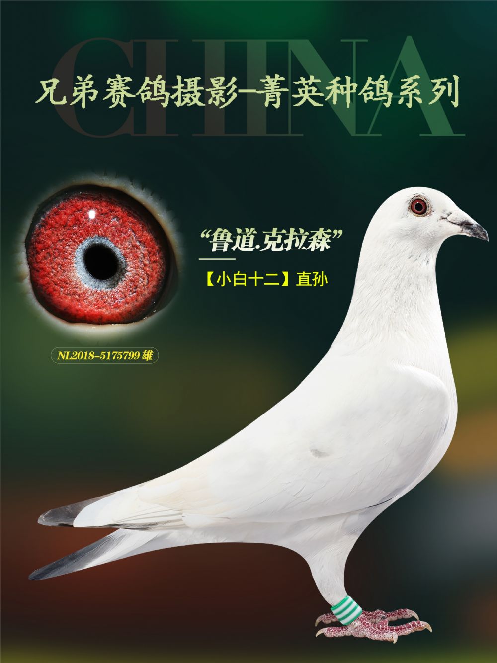 >> 查看拍卖商品