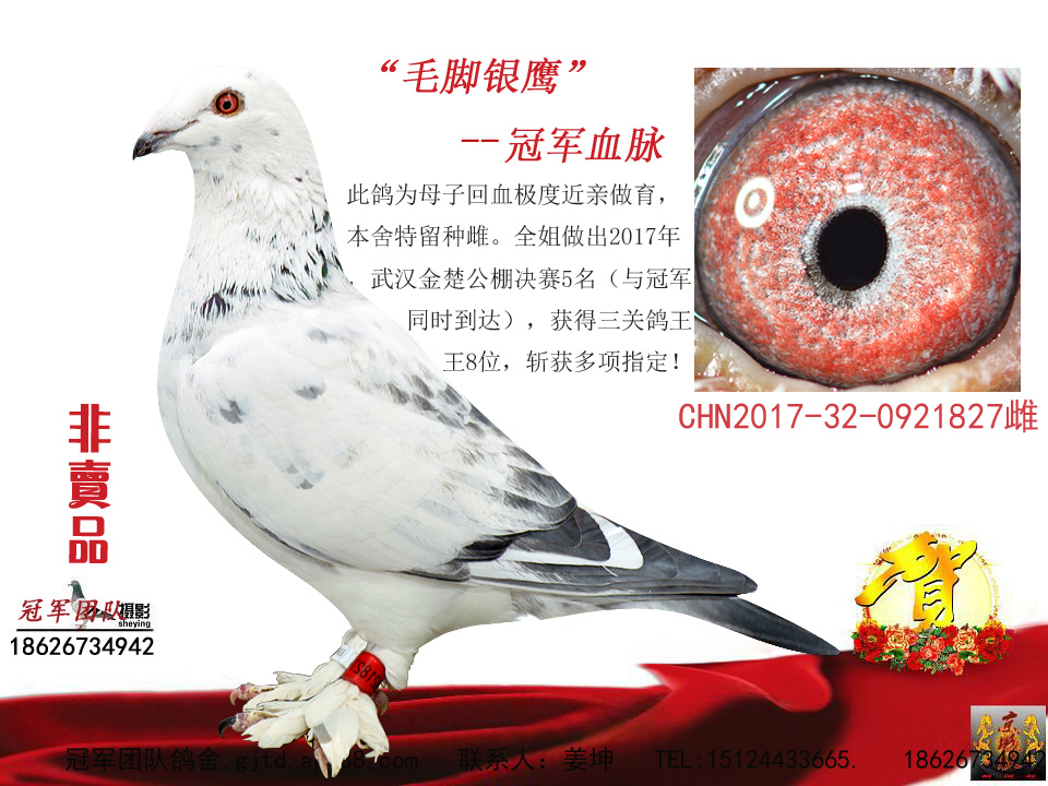 >> 查看拍卖商品