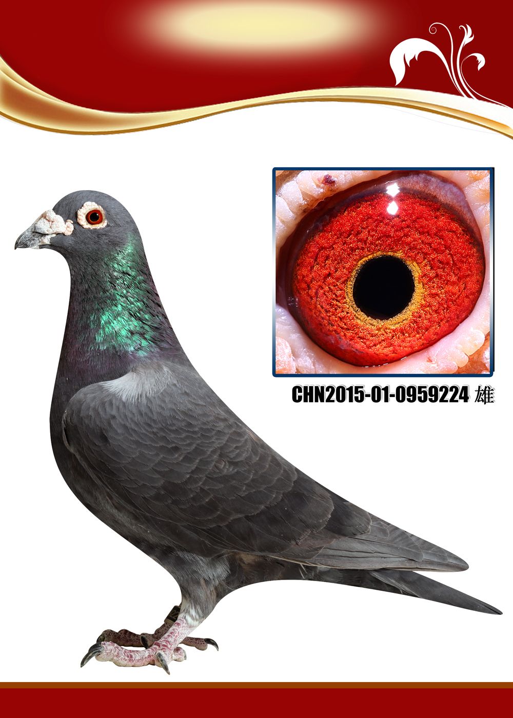 >> 查看拍卖商品