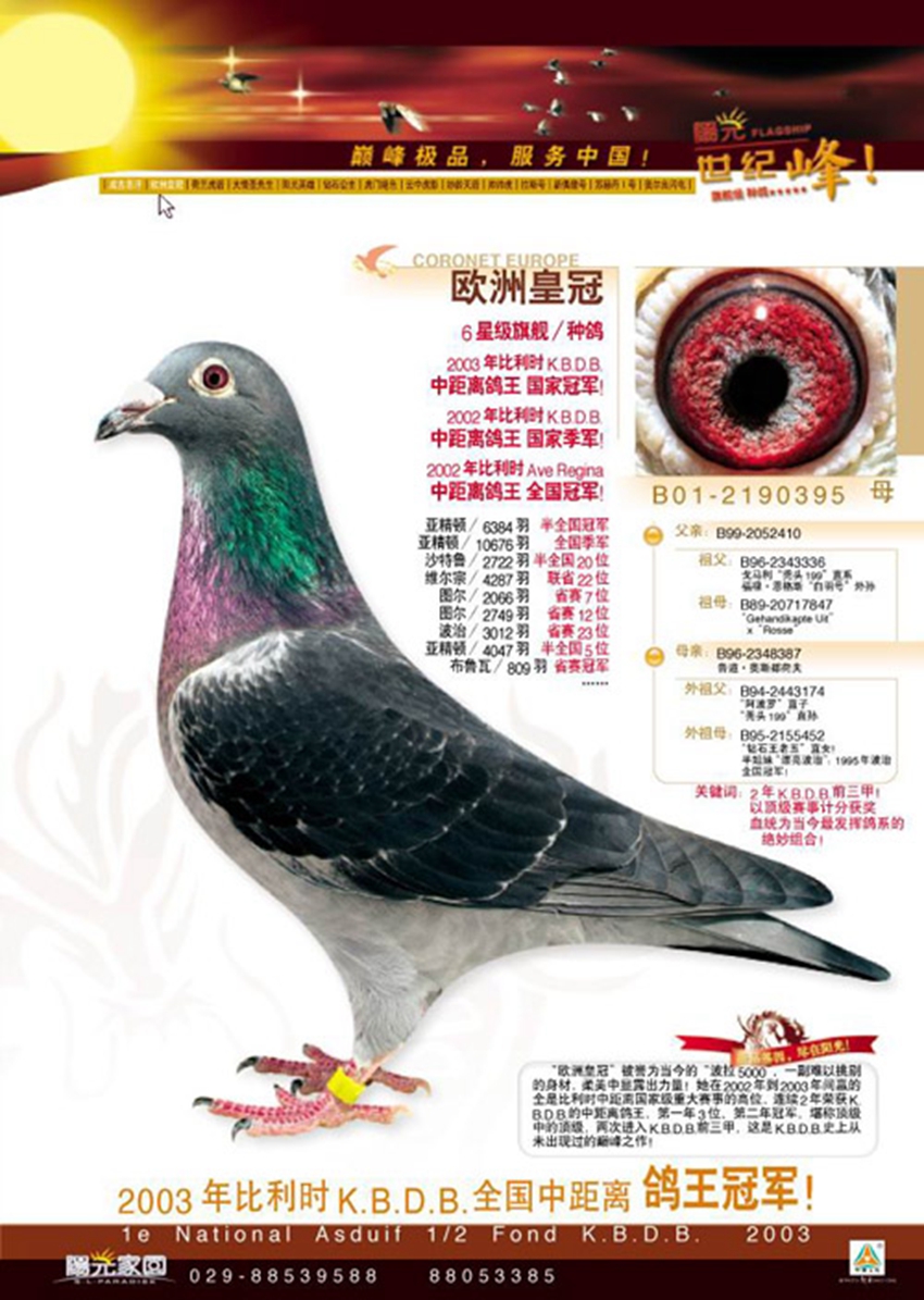 点击查看此商品大图片