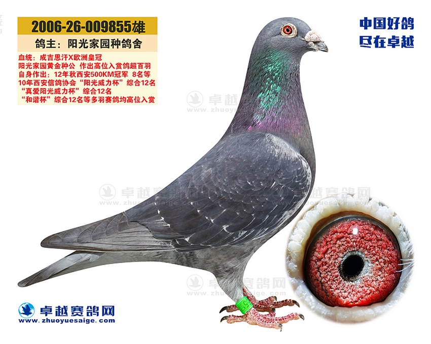 点击查看此商品大图片