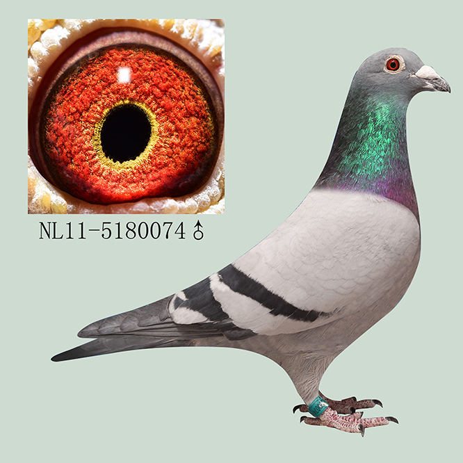 >> 查看拍卖商品