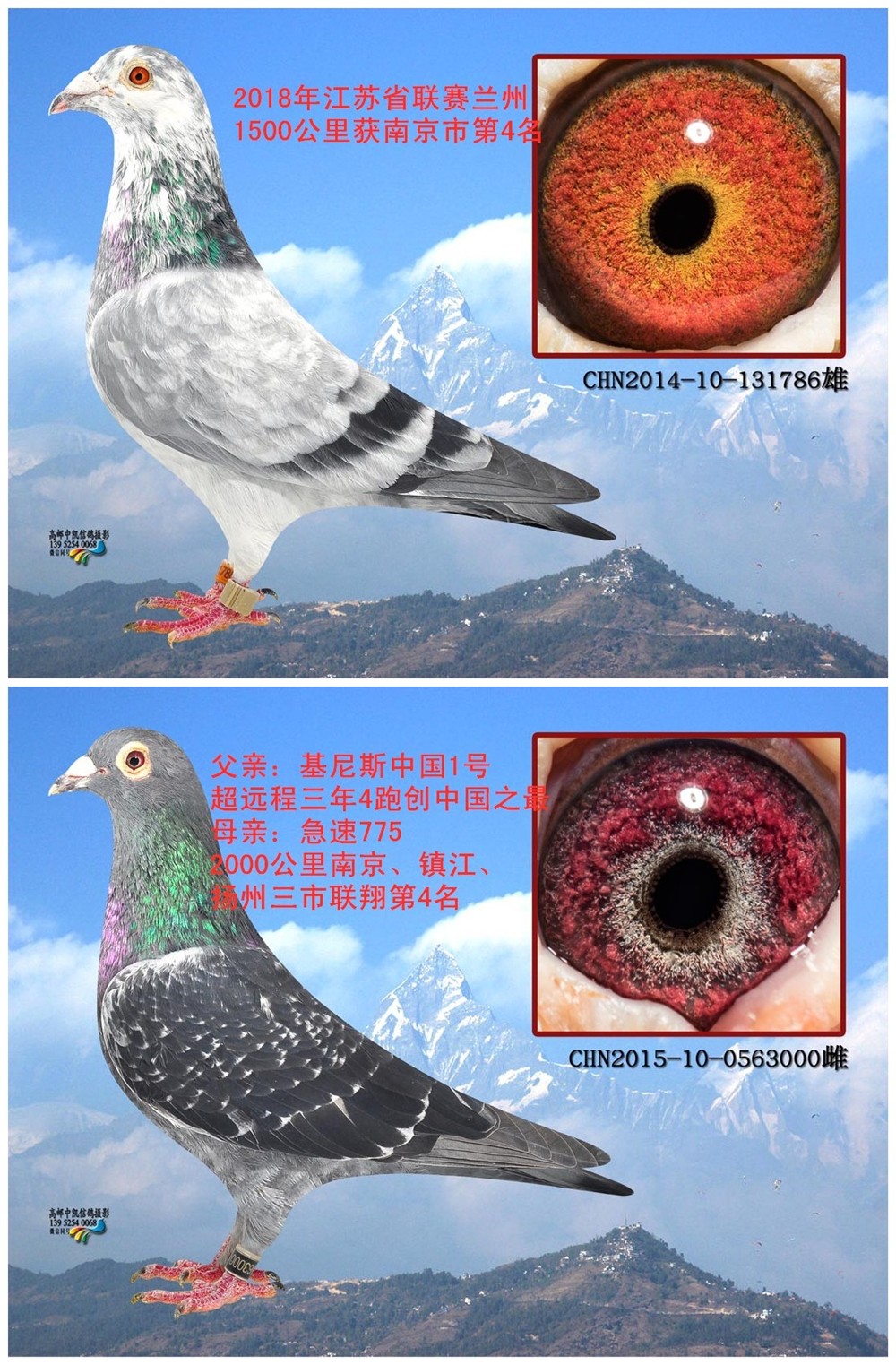 点击查看此商品大图片