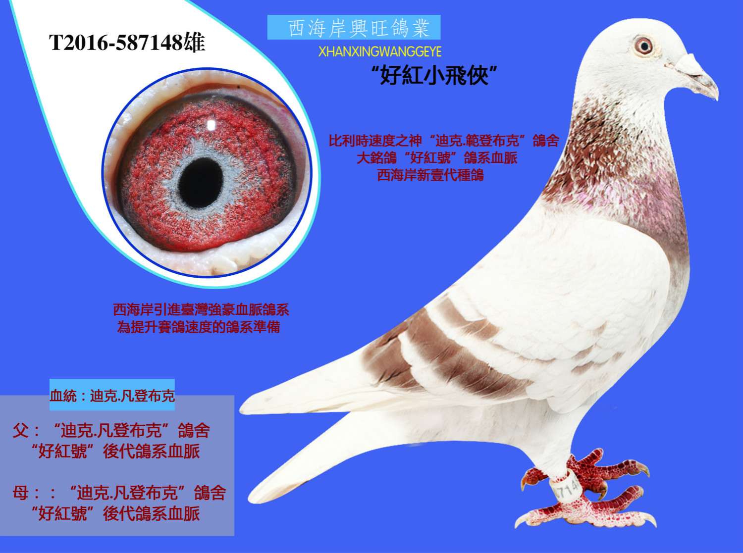 >> 查看拍卖商品