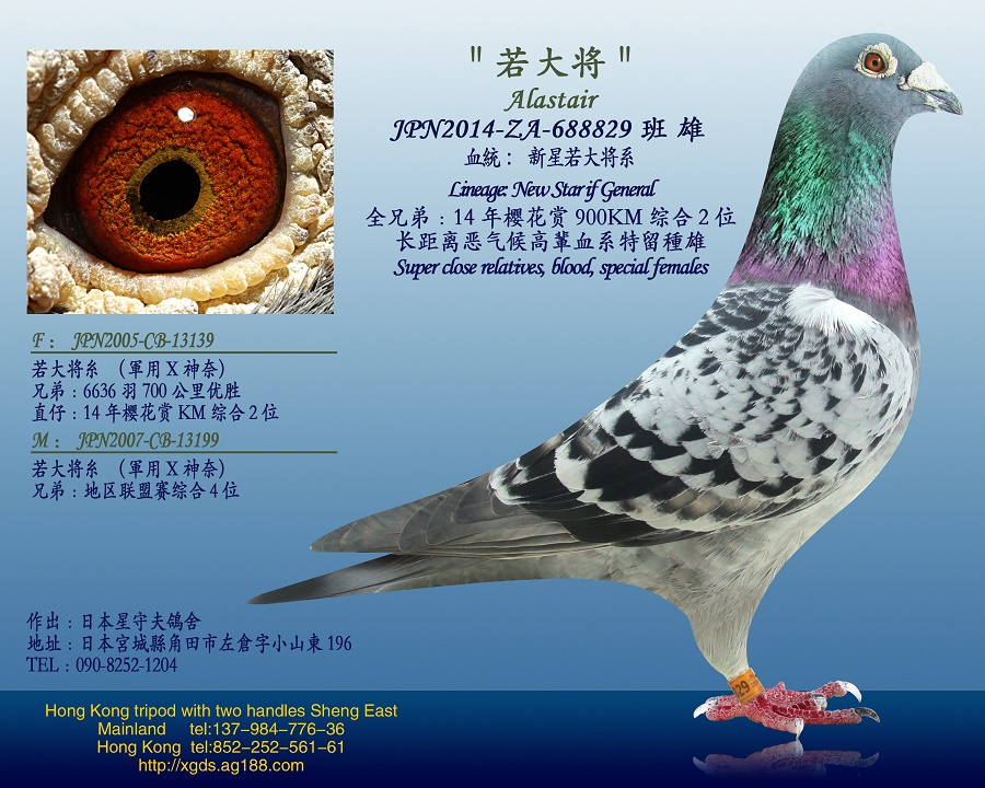 >> 查看拍卖商品