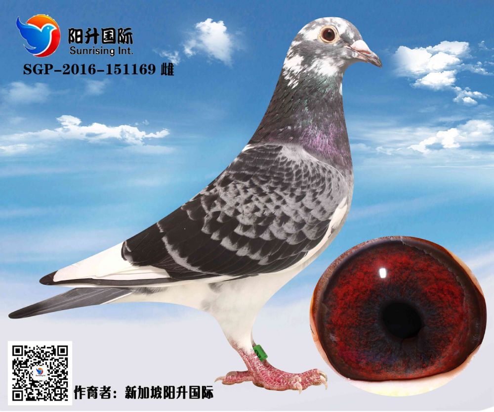 >> 查看拍卖商品