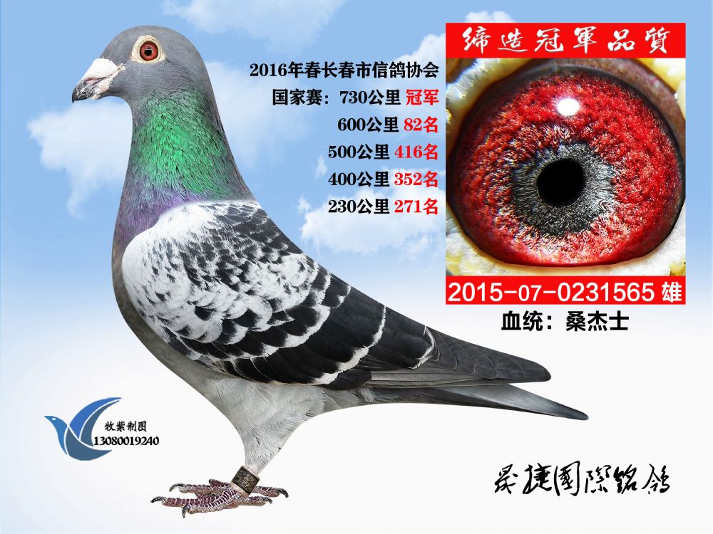 >> 查看拍卖商品