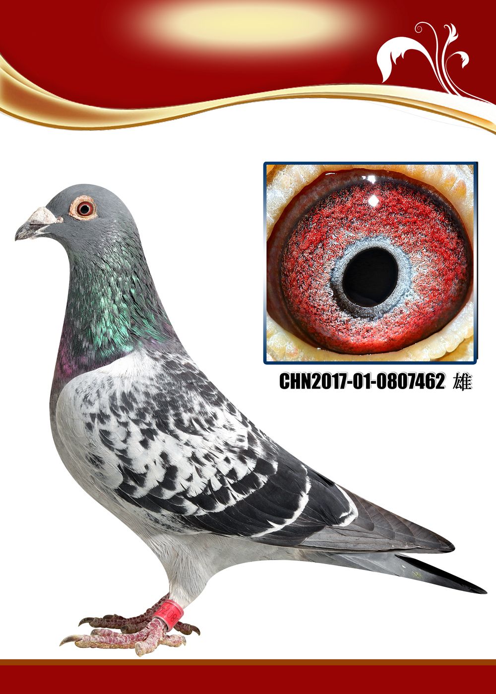 >> 查看拍卖商品