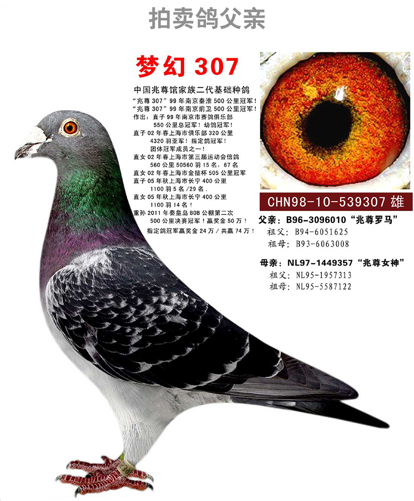 >> 查看拍卖商品