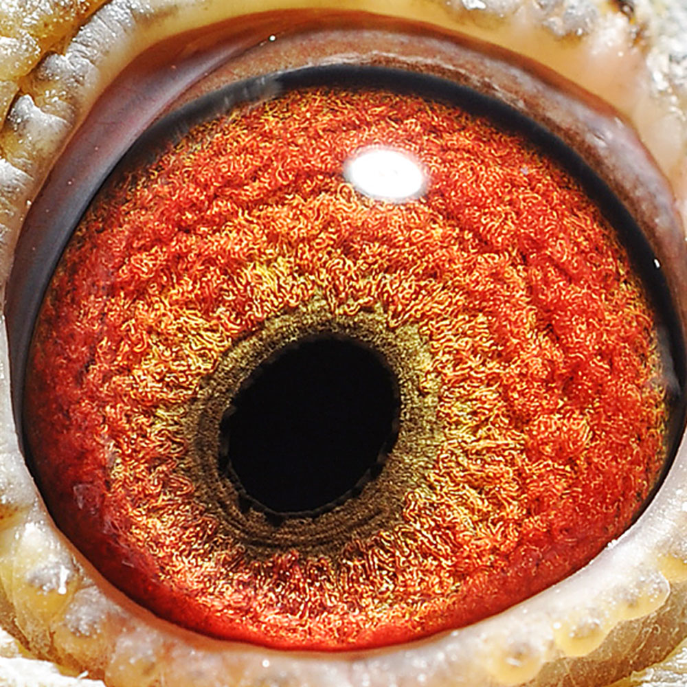 >> 查看拍卖商品