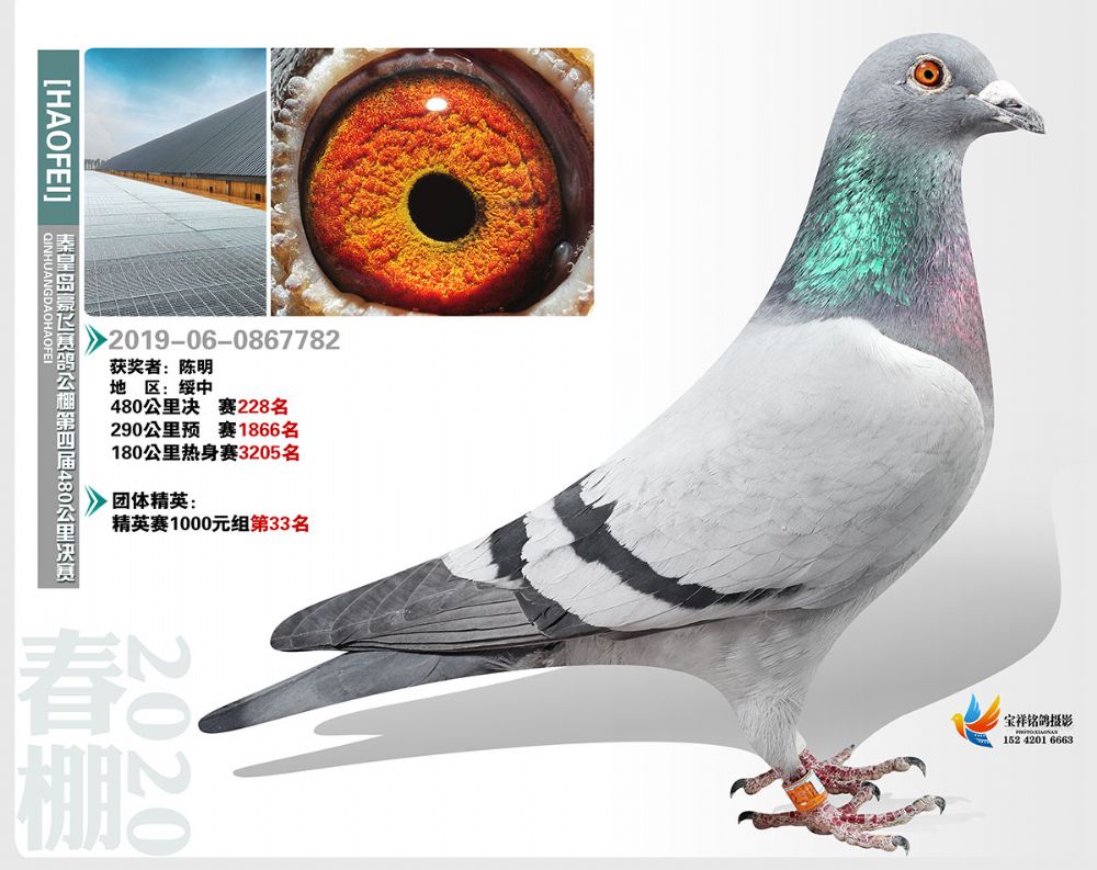 秦皇岛豪飞公棚决赛228名加关注