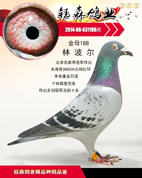>> 查看拍卖商品
