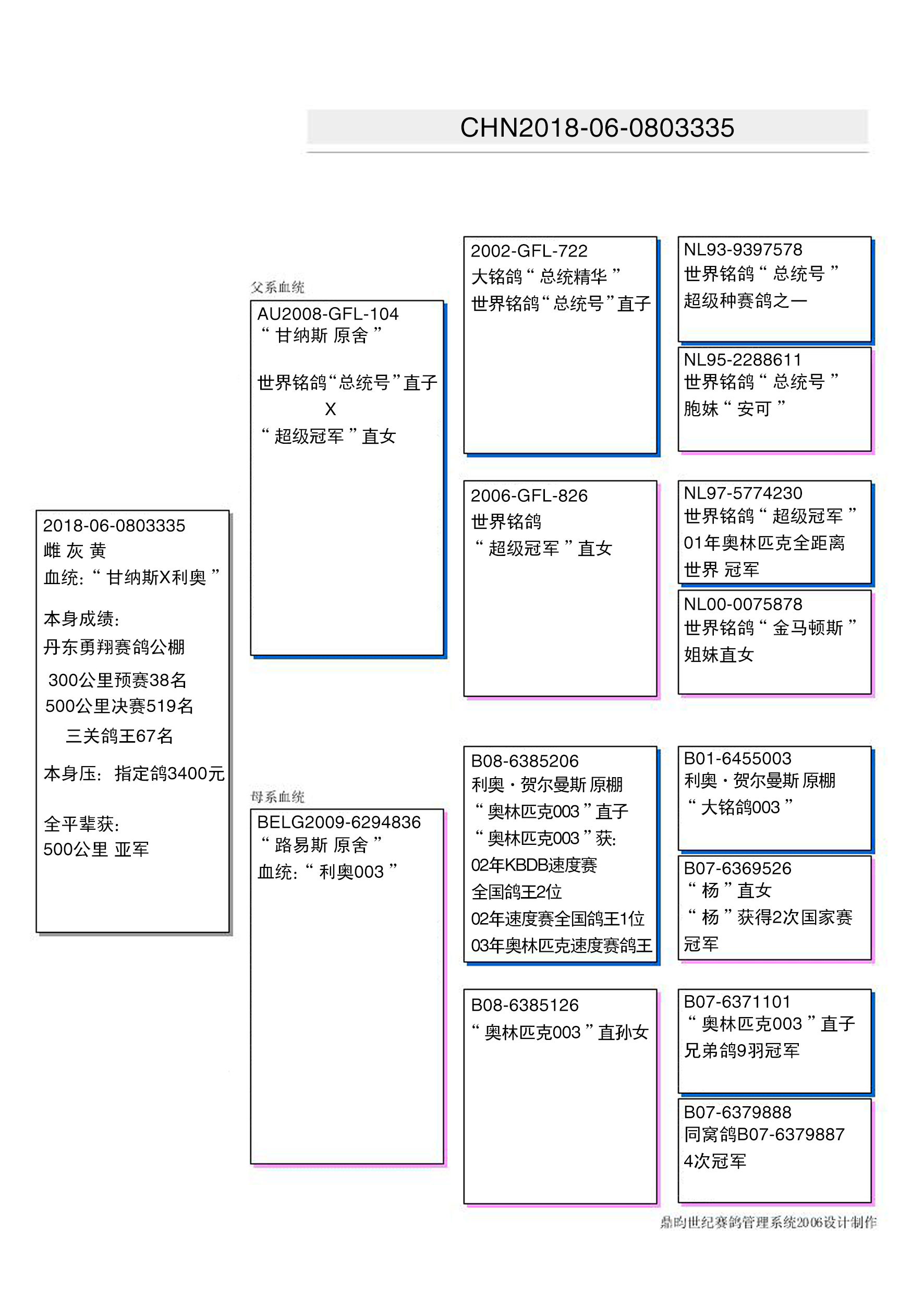 信鴿在線拍賣平臺 - 中國信鴿信息網