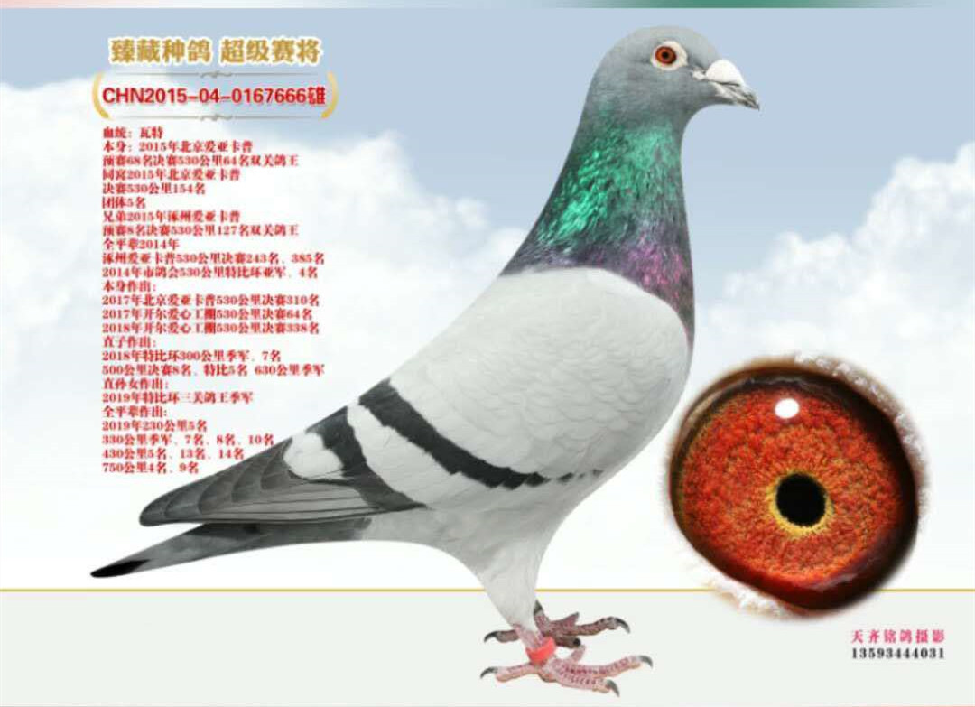 >> 查看拍卖商品