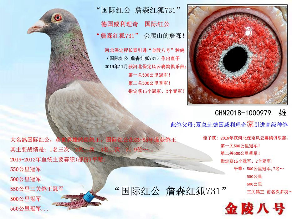 >> 查看拍卖商品