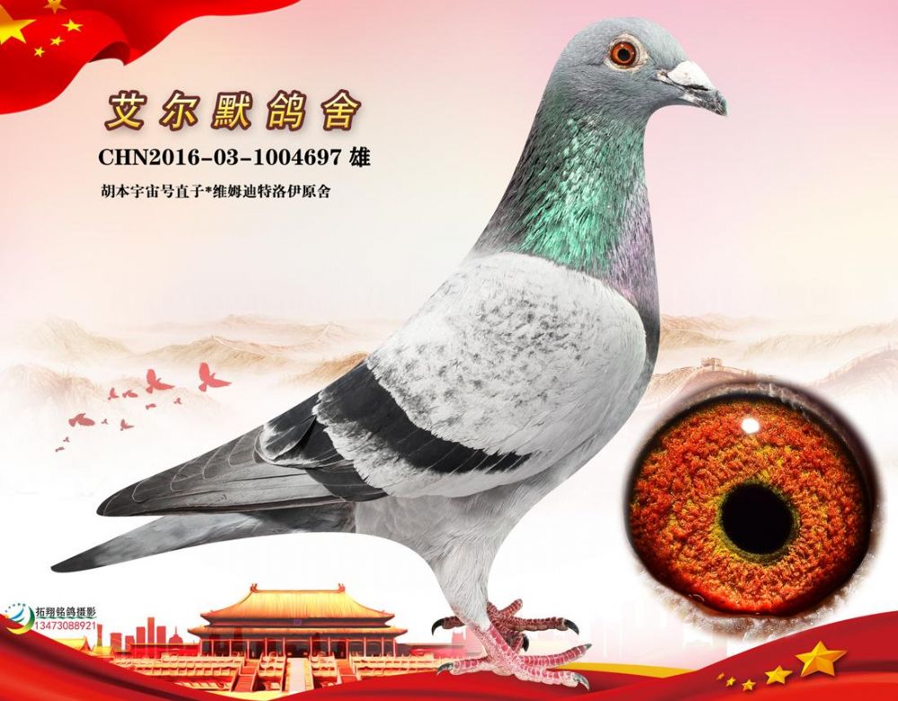 >> 查看拍卖商品