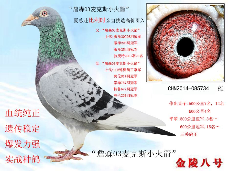 >> 查看拍卖商品