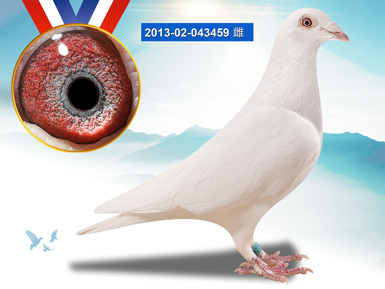 >> 查看拍卖商品