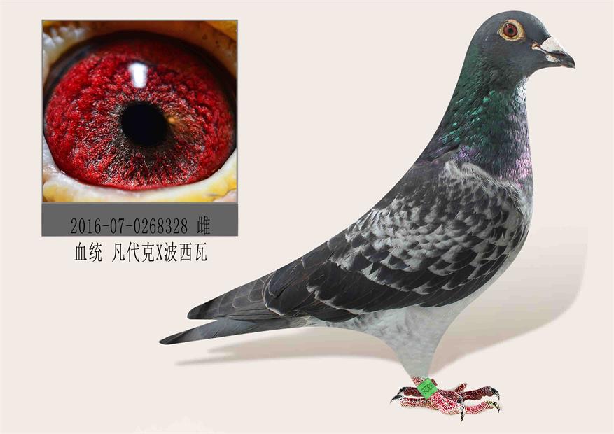 >> 查看拍卖商品