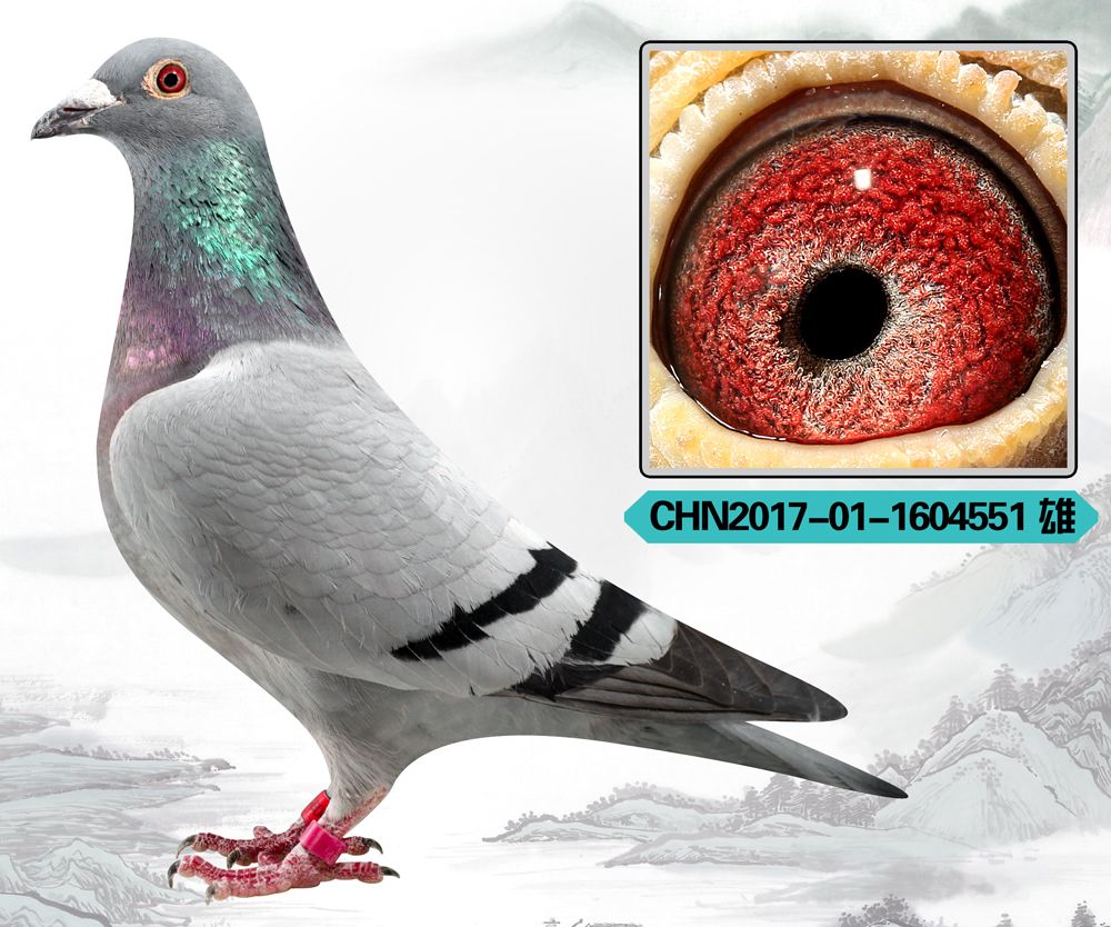 >> 查看拍卖商品