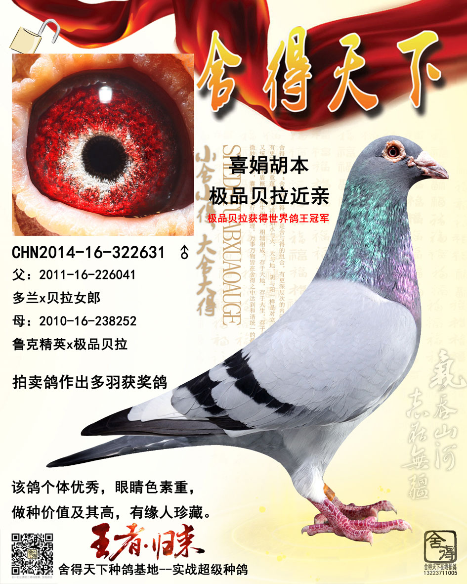 >> 查看拍卖商品