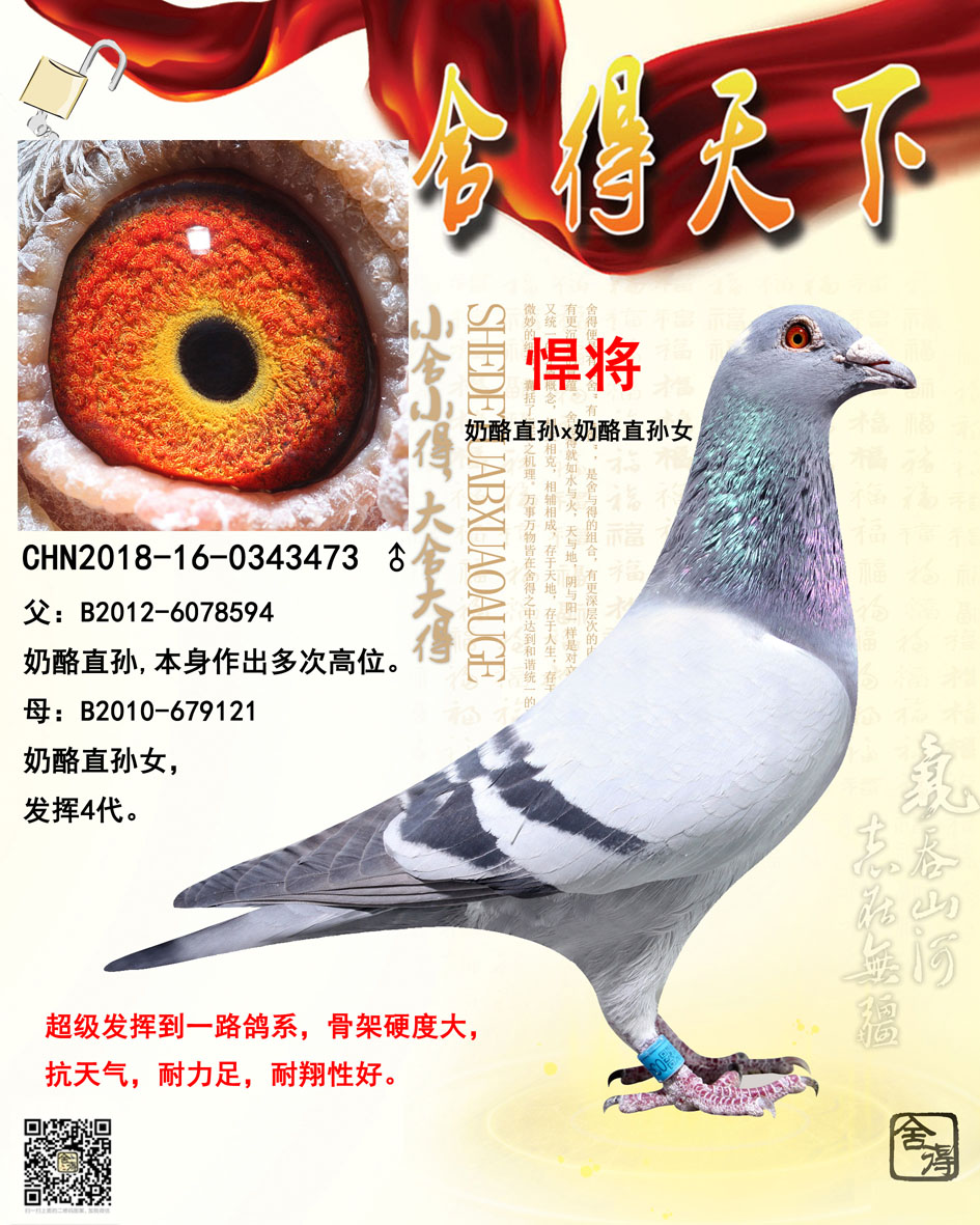 >> 查看拍卖商品