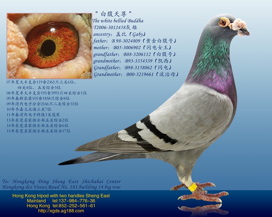 点击查看此商品大图片