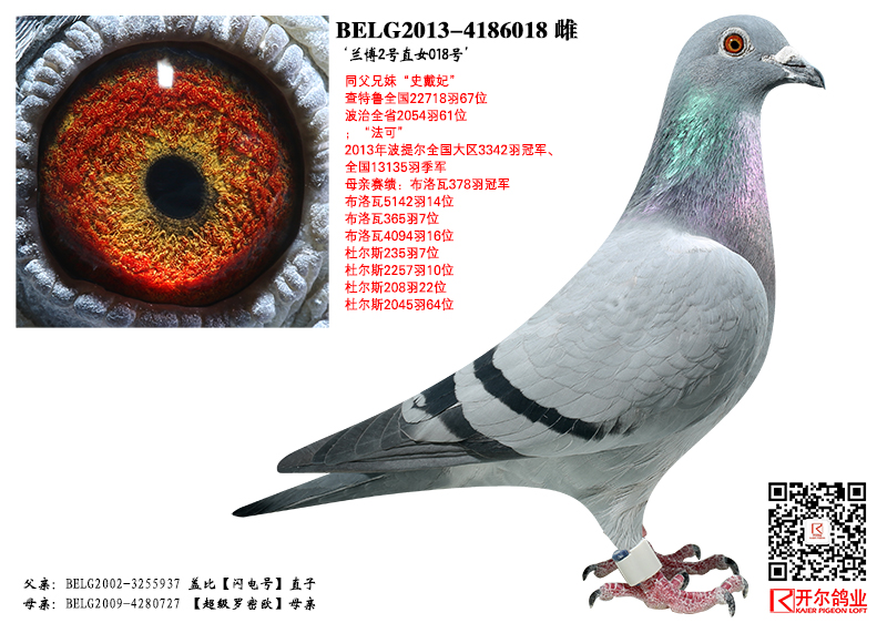 点击查看此商品大图片