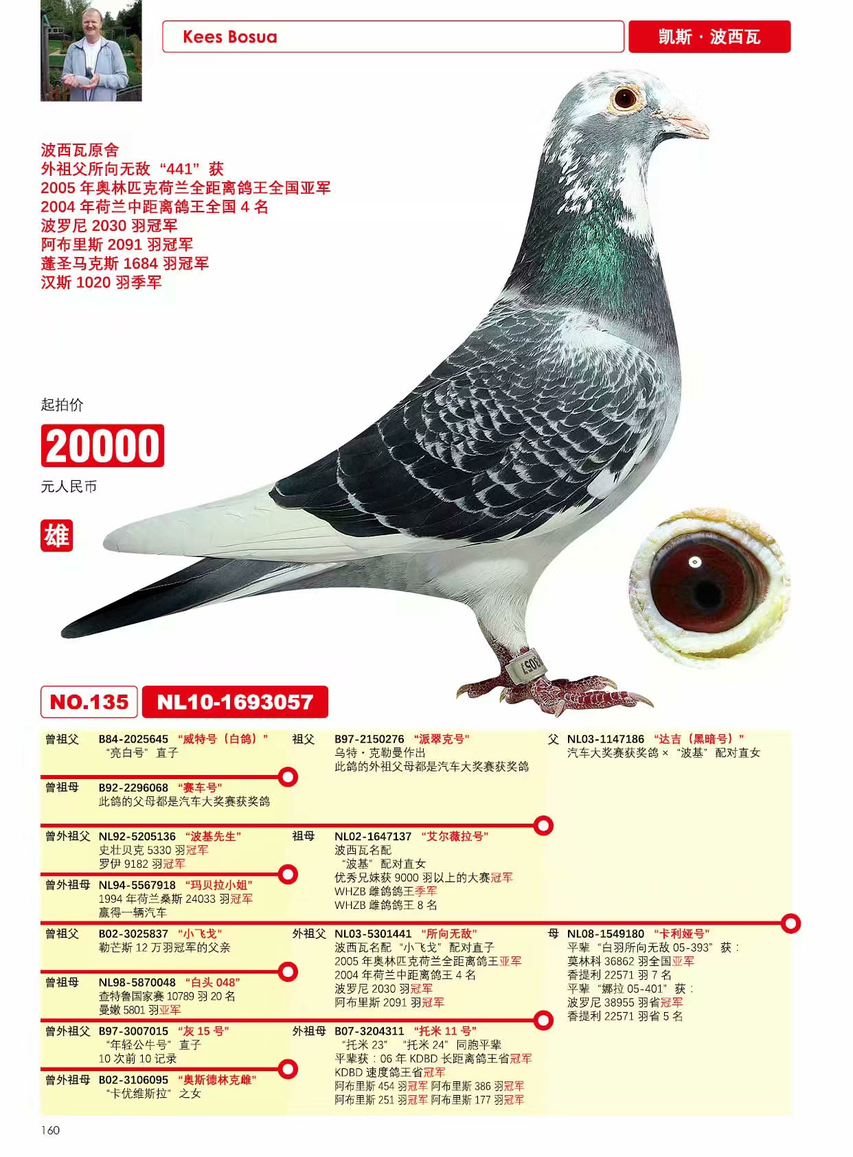信鸽在线拍卖平台 - 中国信鸽信息网