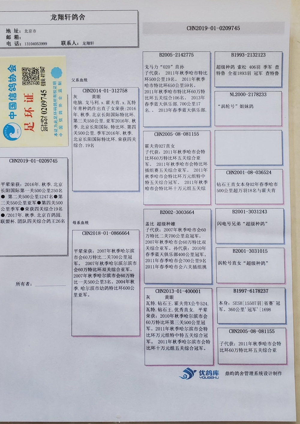 北京龙翔轩鸽舍展厅图片